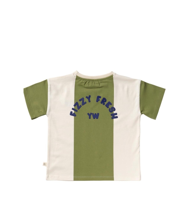 Your Wishes shirts 618 Iguana YHS26-618WDE