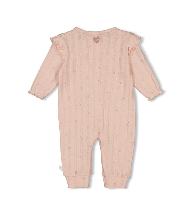 Feetje boxpakjes 155 l.Roze 50800130