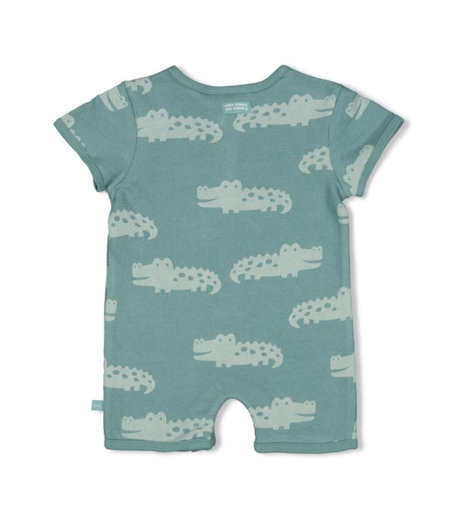 Feetje boxpakjes 327 Zeegroen 51100107