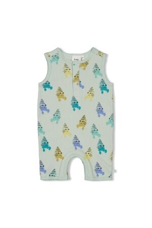 Feetje Kort Babypakje - Lazy Days 320 Mint