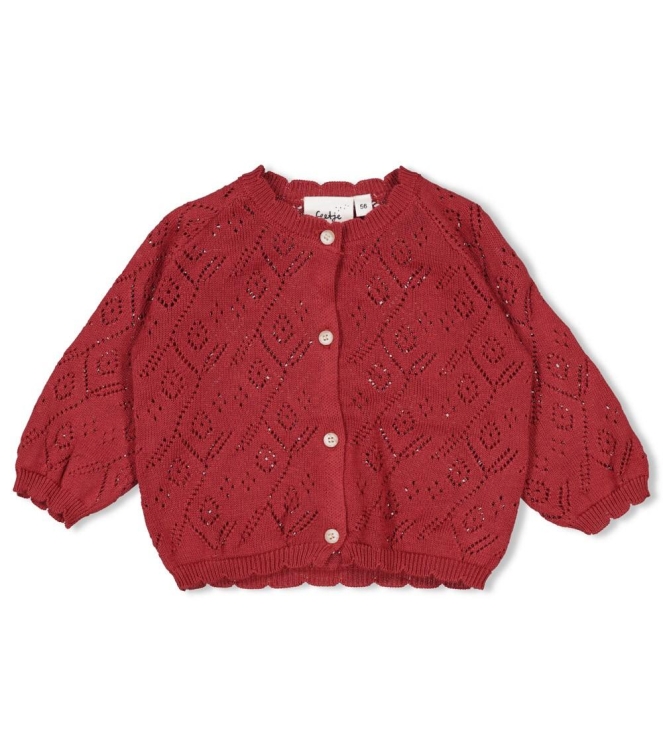 Feetje vesten 115 Berry 51300545