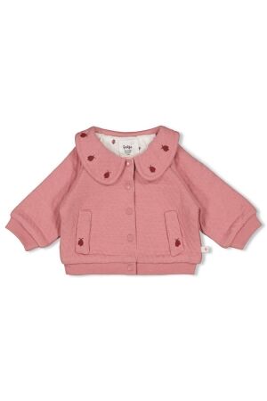 Feetje Jasje - Ladybug 150 Roze