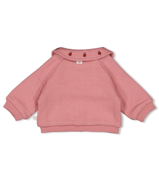 Feetje jassen 150 Roze 51300546