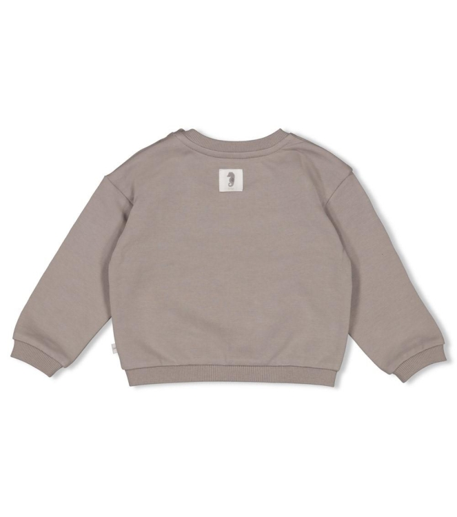 Feetje truien 650 Grijs 51602691