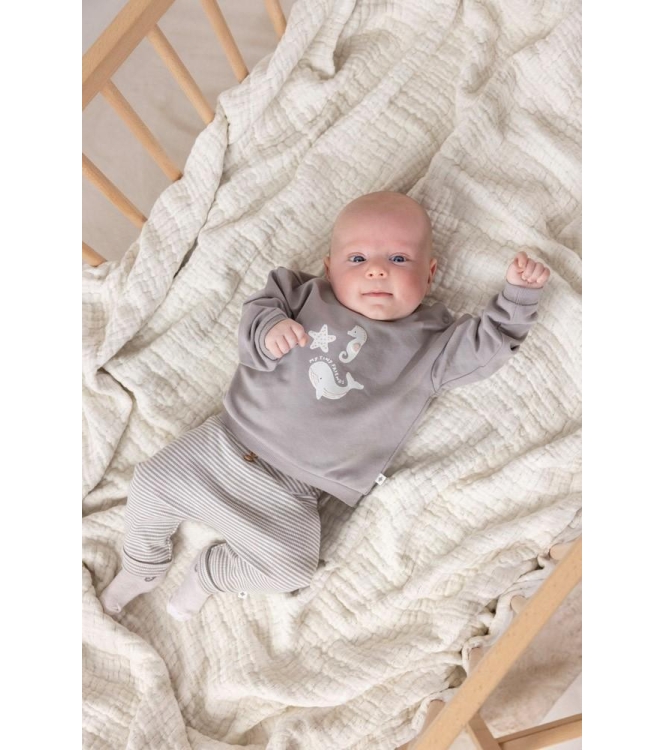 Feetje truien 650 Grijs 51602691