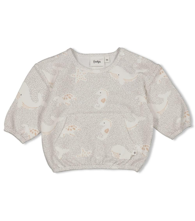 Feetje truien 650 Grijs 51602692