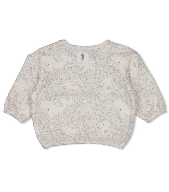 Feetje truien 650 Grijs 51602692