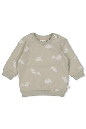 Feetje Sweater - Elephant 320 Mint