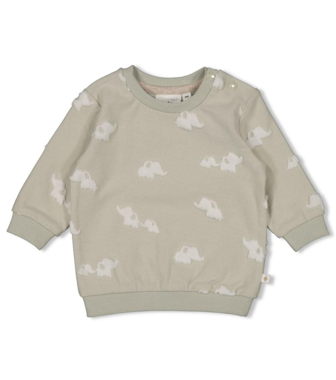 Feetje truien 320 Mint 51602699