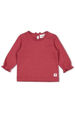 Feetje T-shirt longsleeve - Ladybug 115 Berry