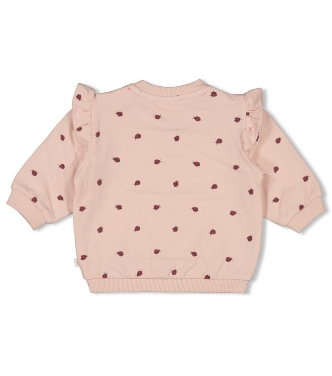 Feetje truien 155 l.Roze 51602713