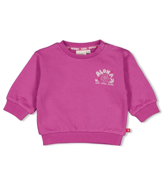 Feetje truien 250 Paars 51602749