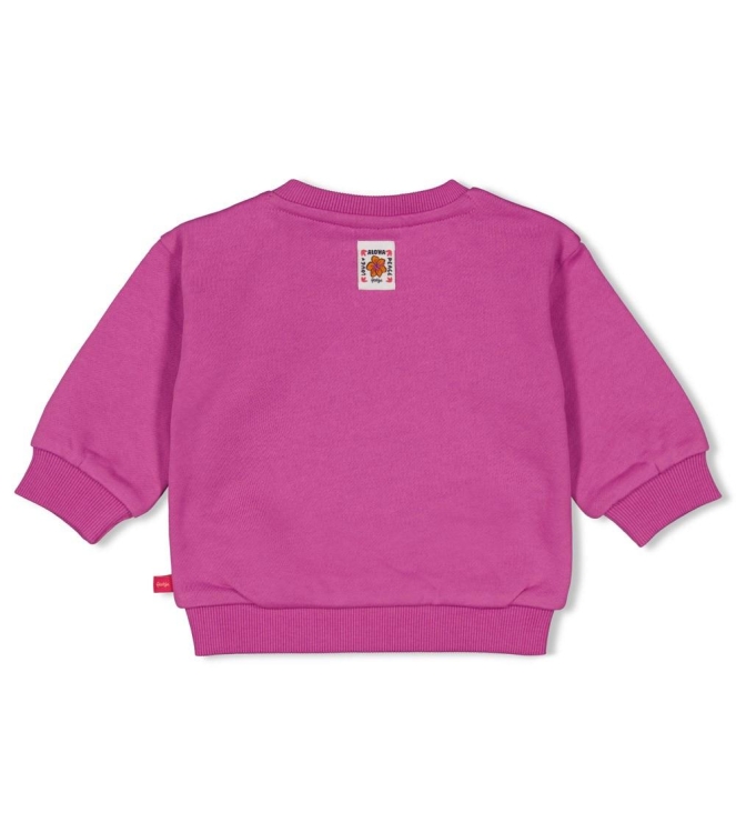 Feetje truien 250 Paars 51602749