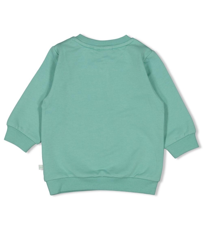 Feetje truien 035 Aqua 51602757