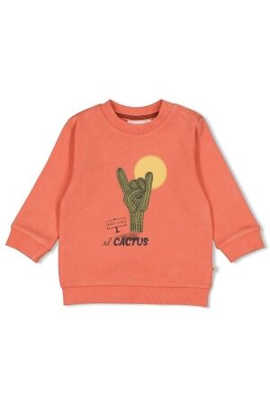 Feetje Sweater - Desert Fiesta 165 Koraal