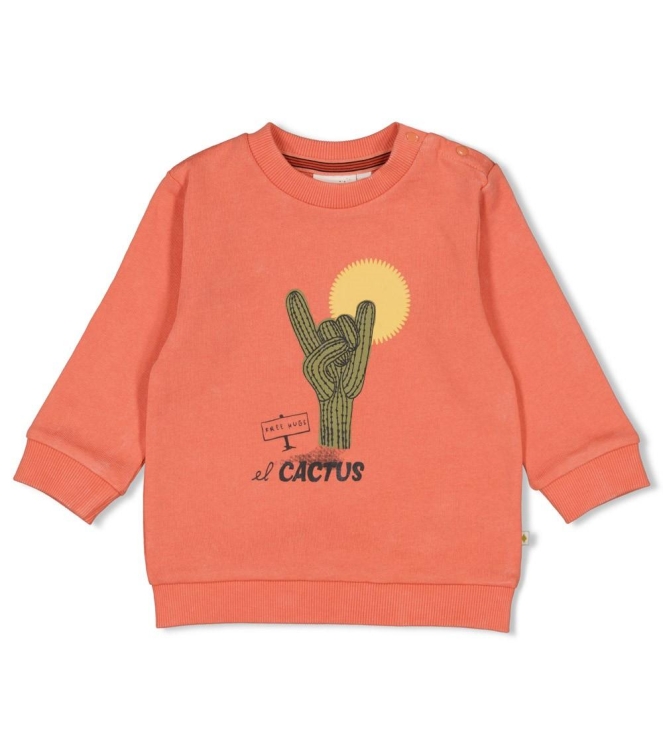 Feetje truien 165 Koraal 51602764