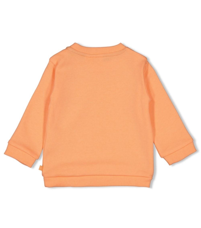 Feetje truien 365 Neon Oranje 51602766