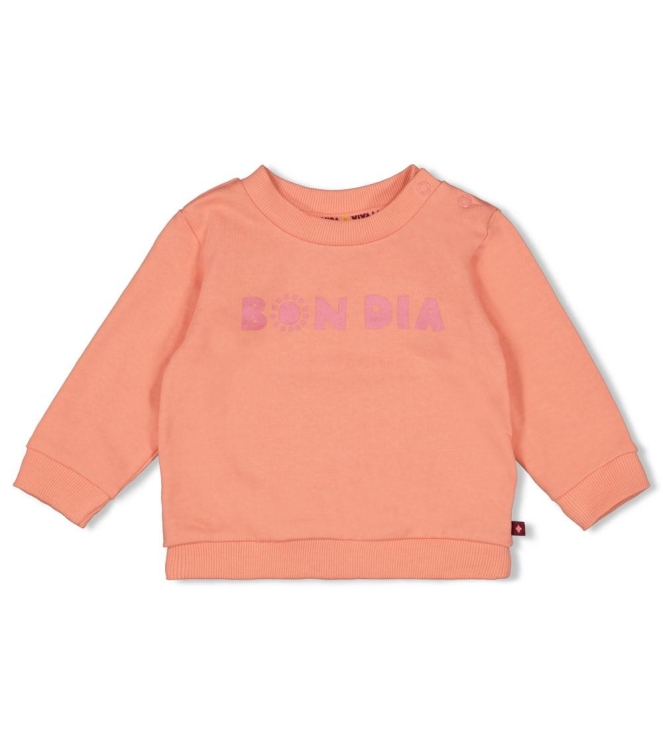 Feetje truien 360 Zalm 51602767