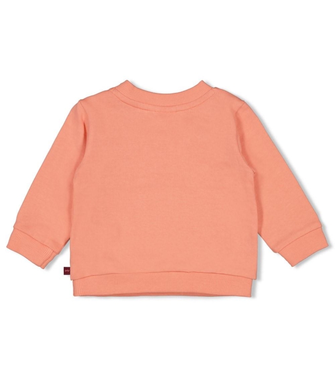 Feetje truien 360 Zalm 51602767