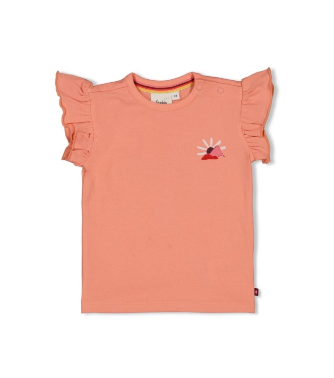 Feetje shirts 360 Zalm 51701039