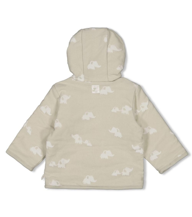 Feetje jassen 320 Mint 51800361