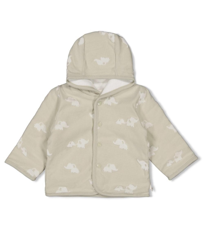 Feetje jassen 320 Mint 51800361