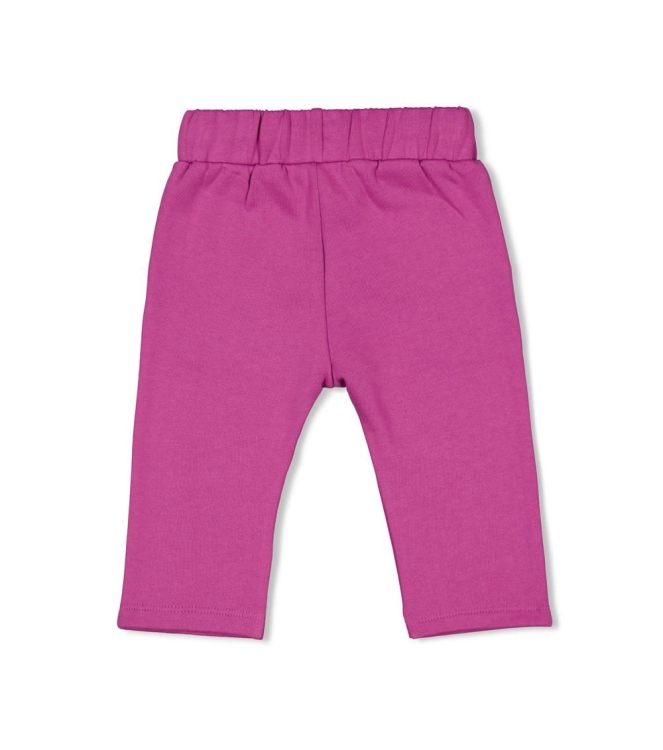 Feetje broeken 250 Paars 52202524