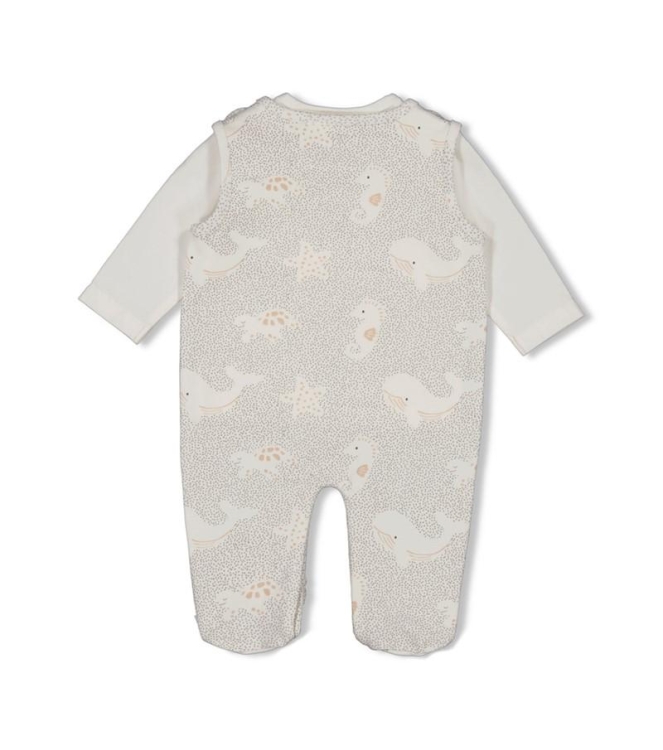 Feetje boxpakjes 650 Grijs 52500243