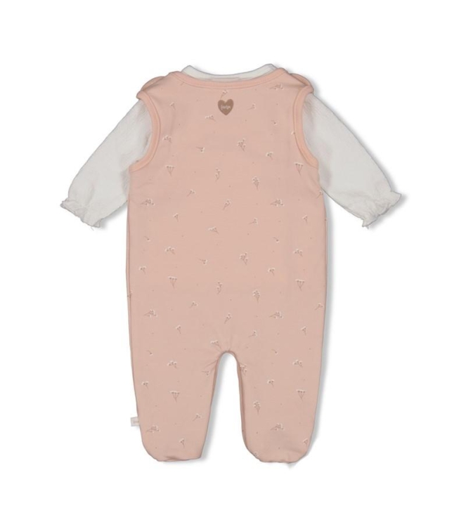 Feetje boxpakjes 155 l.Roze 52500246