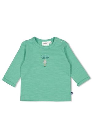 Feetje T-shirt longsleeve - Seaside Happiness 300 Groen