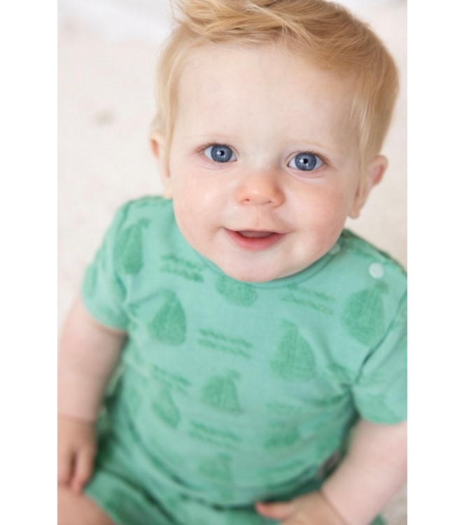 Feetje shirts 300 Groen 51700996