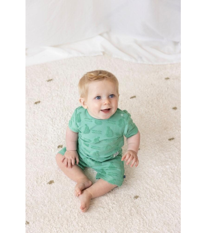 Feetje broeken 300 Groen 52100467