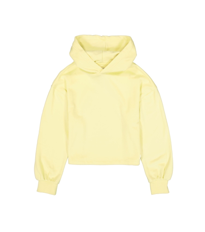 Garcia truien 6701 Lemon Twist M262461