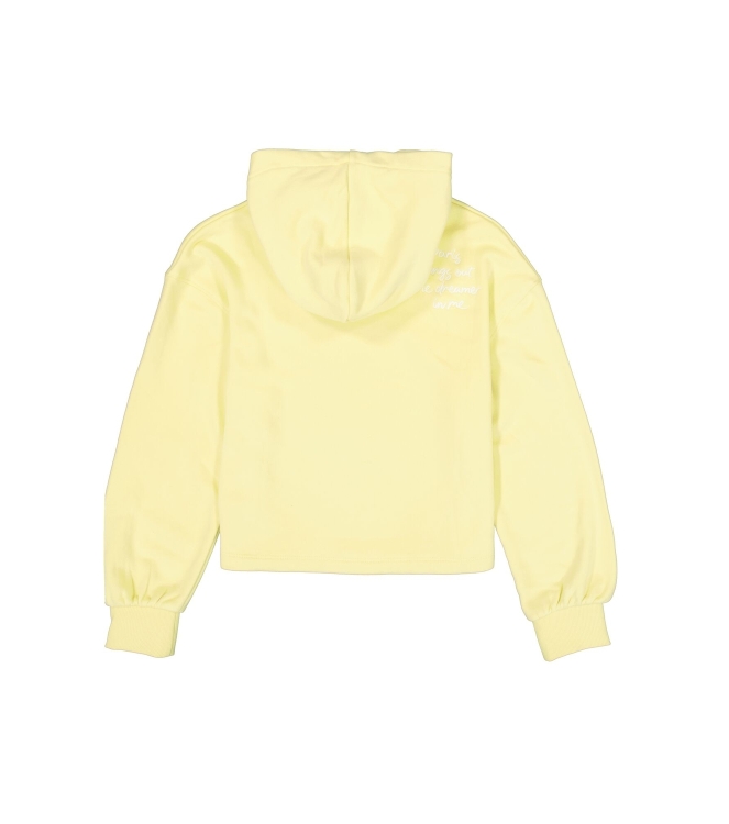 Garcia truien 6701 Lemon Twist M262461