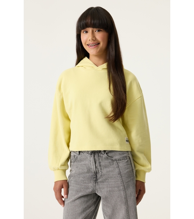 Garcia truien 6701 Lemon Twist M262461