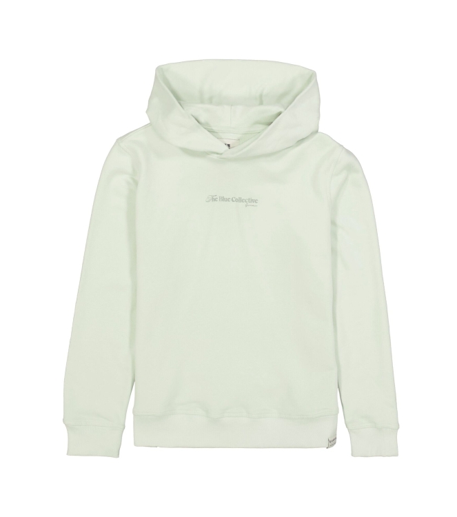 Garcia truien 6727 Milky Green M263461