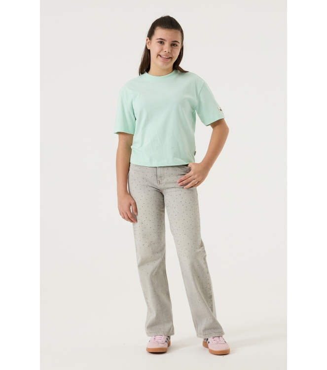 Garcia shirts 6702 Magic Mint N262604