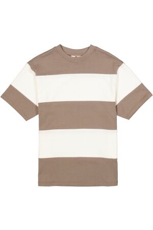 Garcia T-Shirt 5068 Taupe Grey