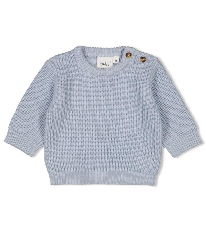 Feetje truien Blauw 51602778