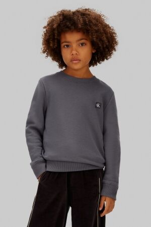 Calvin Klein truien PTW Coal IU0IU00570