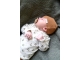 Noppies babyaccessoires P700 Chipmunk 67406