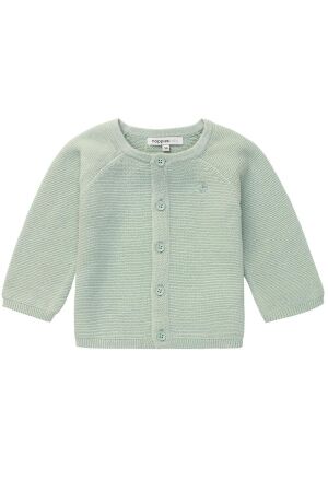 Noppies Naga cardigan C175 Grey Mint