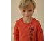 Sturdy shirts 350 Oranje 71600566