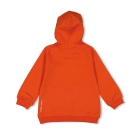 Sturdy truien & vesten 350 Oranje 71600574