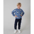 Sturdy truien & vesten 015 Blauw 71600579