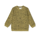 Sturdy truien & vesten 300 Groen 71600583