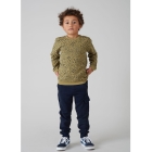 Sturdy truien & vesten 300 Groen 71600583