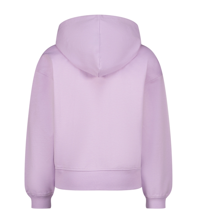 Vingino truien Purple lavendel NOOSKG346032