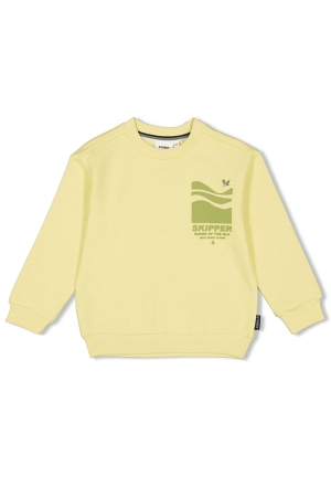 Sturdy Coastal Cool - Sweater 310 Lime