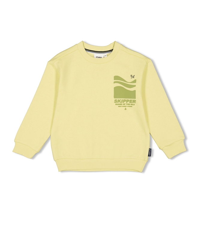 Sturdy truien & vesten 310 Lime 71600585